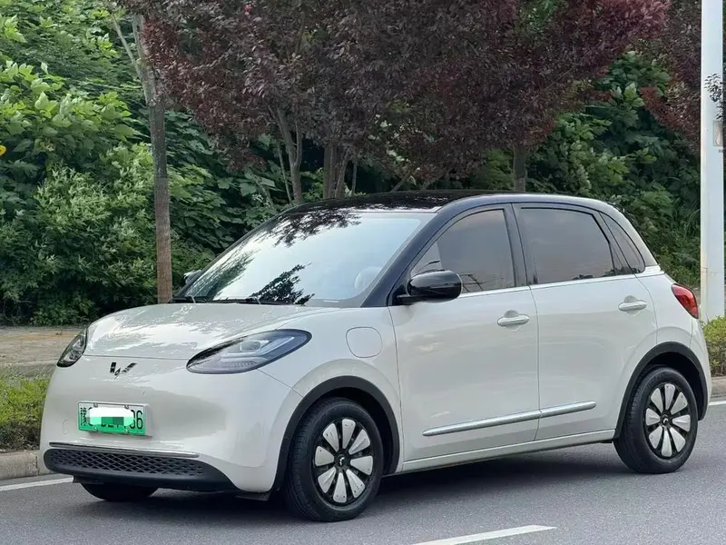 Wuling Bingo, 2023