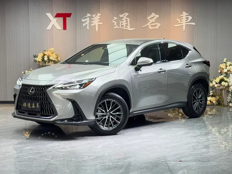 Lexus NX, 2022