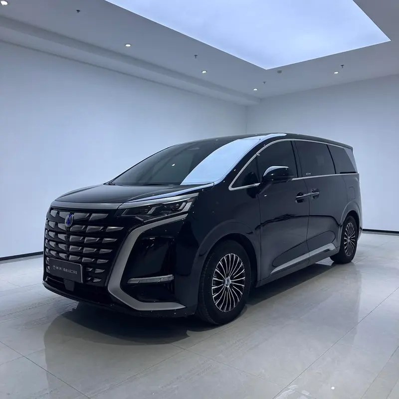 Denza D9 DM, 2022
