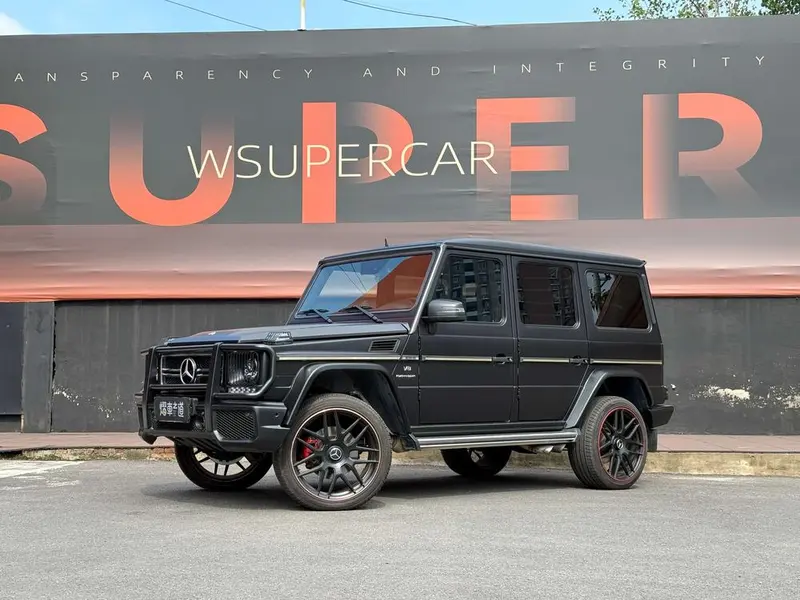 Mercedes-Benz G-Class, 2009