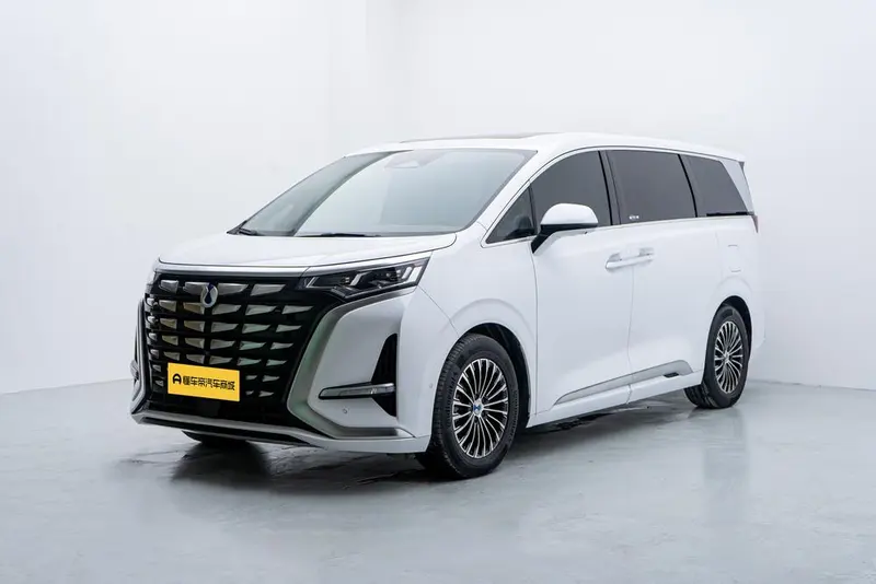 Denza D9 DM, 2022