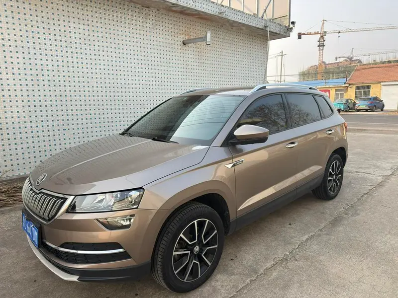 Skoda Karoq, 2020