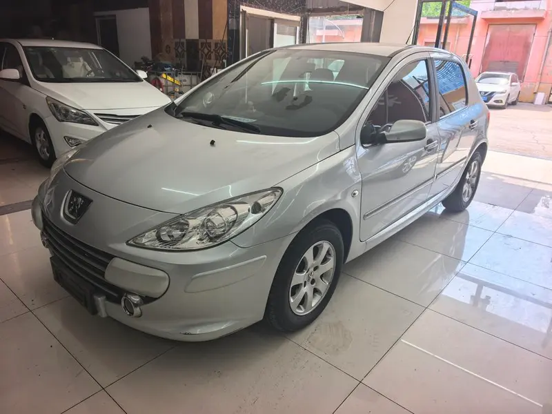 Peugeot 307, 2010