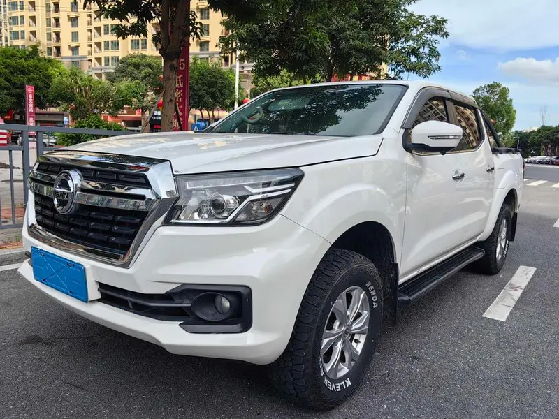 Dongfeng Rich 6, 2021