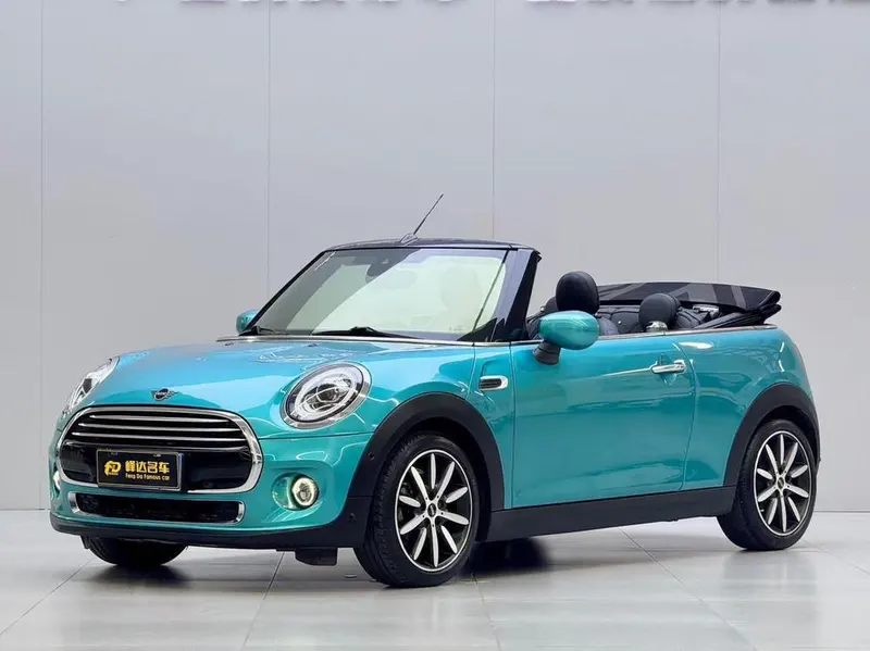 MINI MINI, 2019