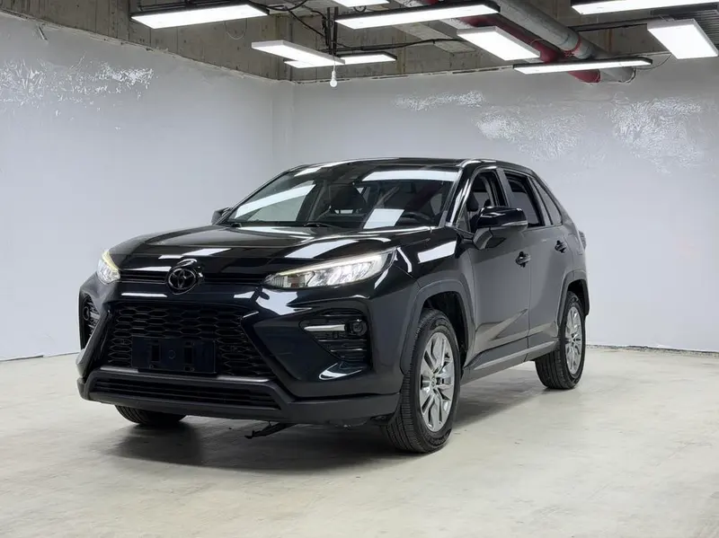 Toyota Wildlander, 2020
