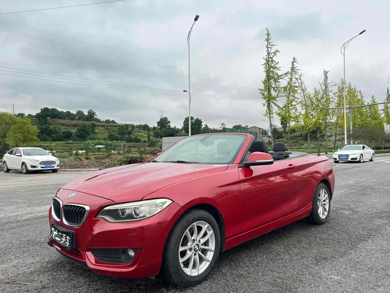 BMW 2-Series (Import), 2015
