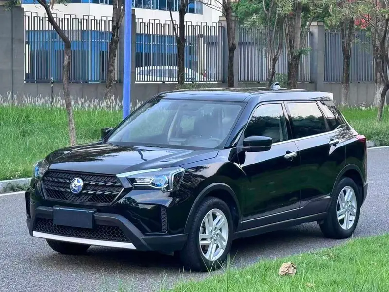 Venucia T60, 2022