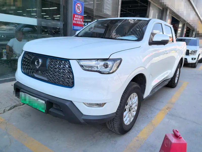 Great Wall Pao EV, 2021