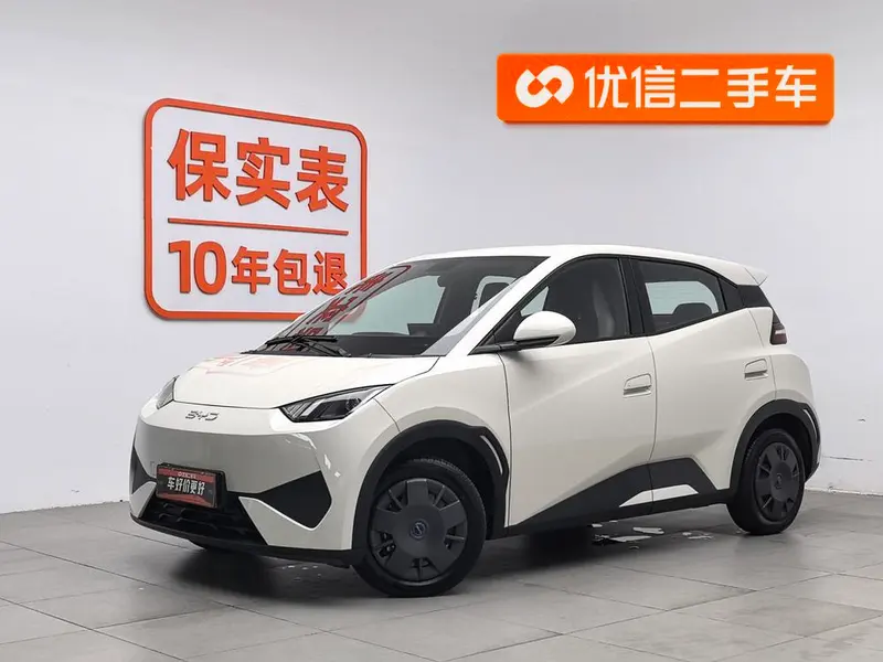 BYD Seagull, 2025