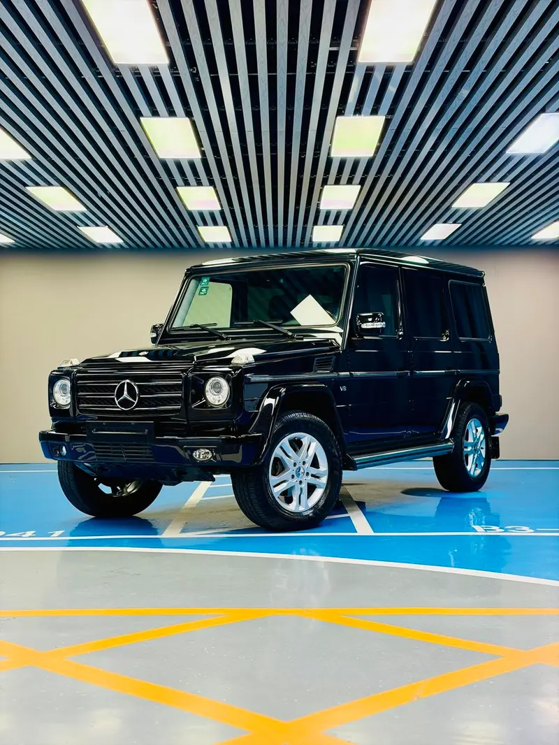 Mercedes-Benz G-Class, 2010