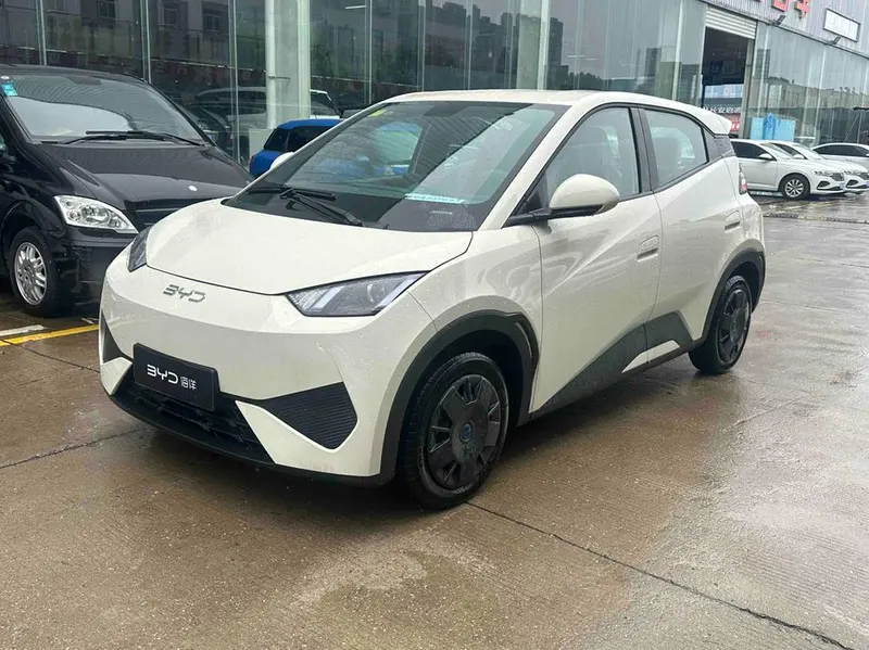 BYD Seagull, 2025
