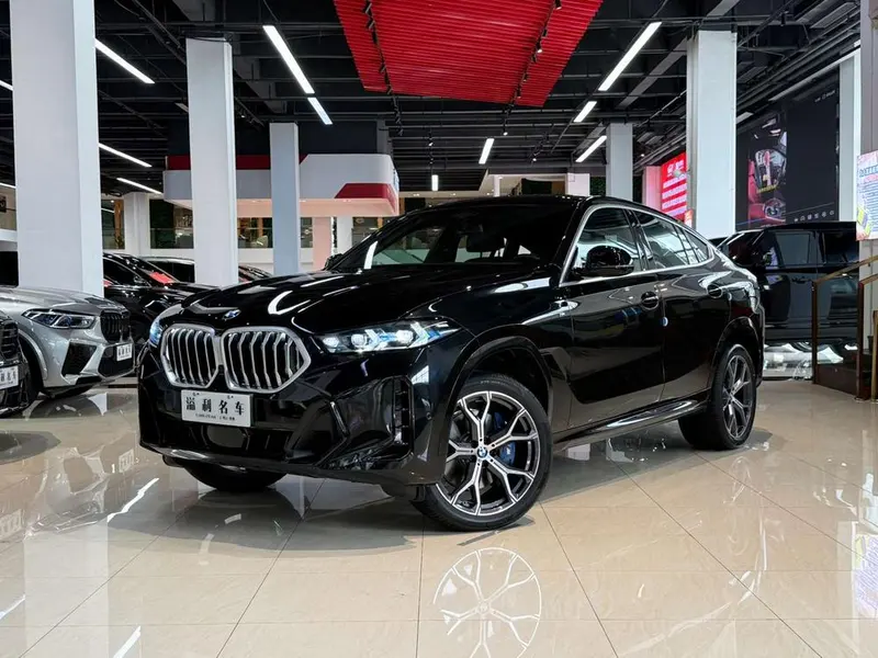 BMW X6, 2023