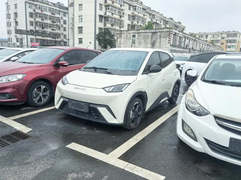 BYD Seagull, 2023