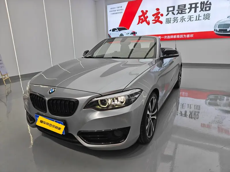 BMW 2-Series (Import), 2019