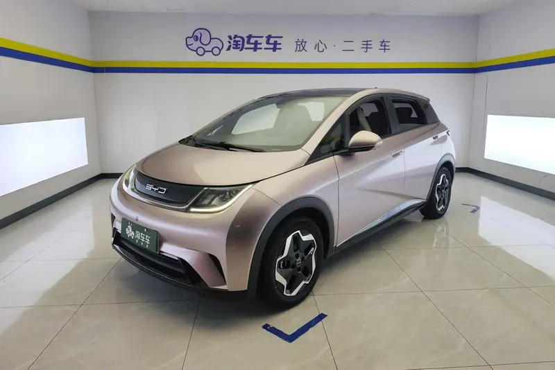 BYD Dolphin, 2021