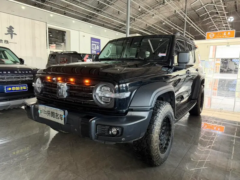Tank 300, 2021