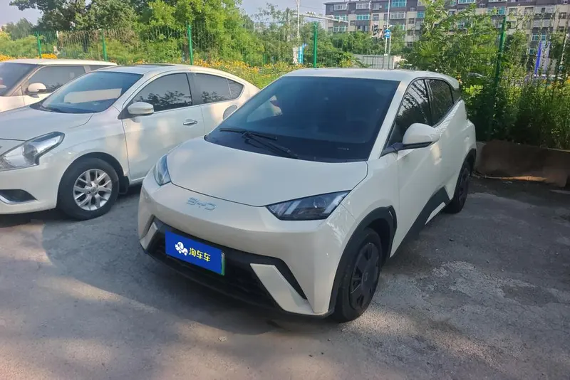 BYD Seagull, 2024