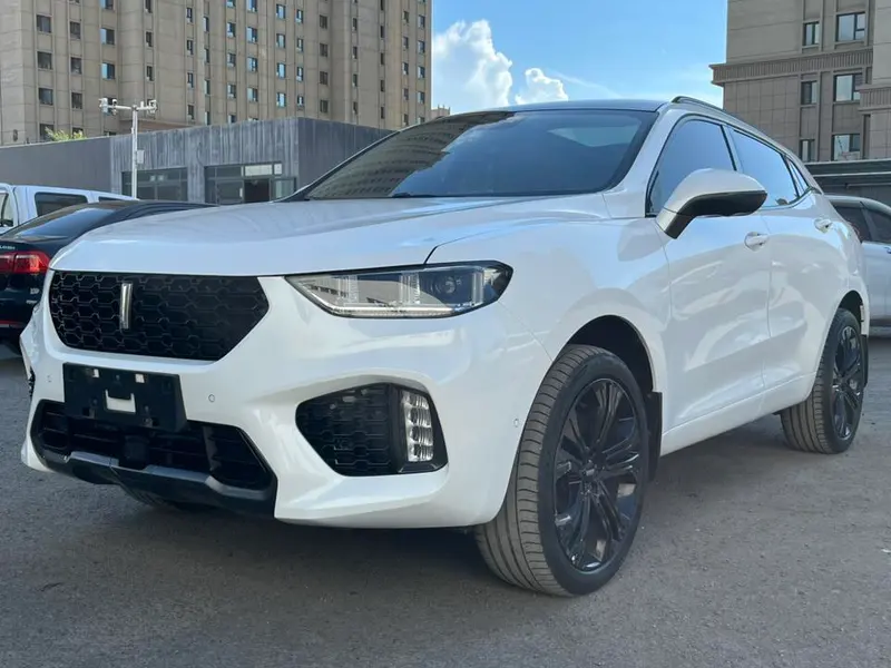 Wey VV5, 2017