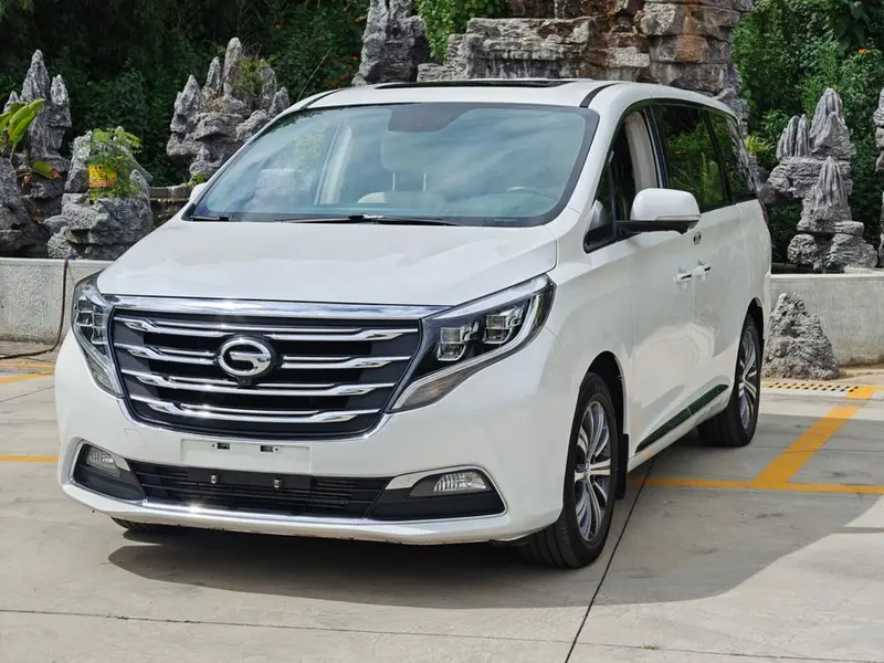 GAC Trumpchi Trumpchi M8, 2019
