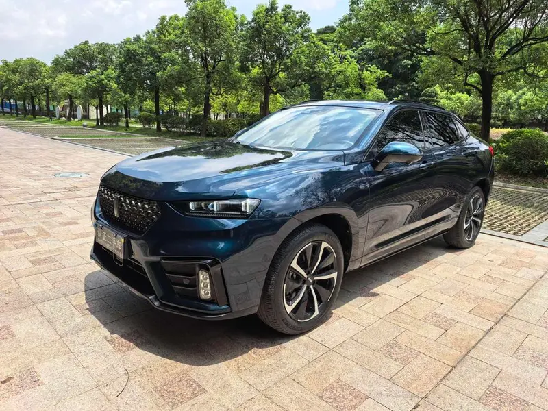 Wey VV7 GT, 2020