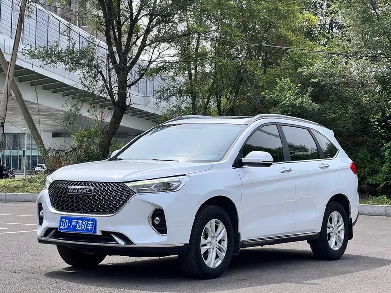 Haval M6, 2021