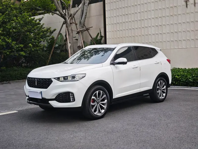 Wey VV6, 2019