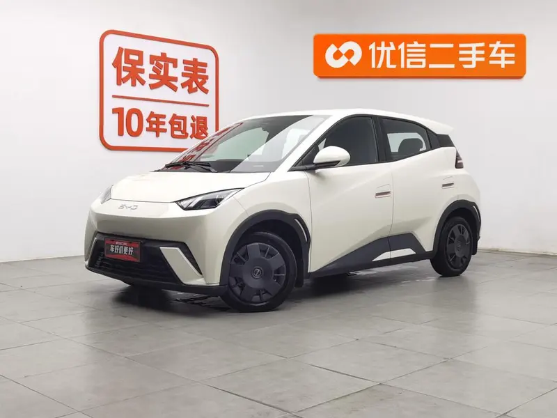 BYD Seagull, 2024