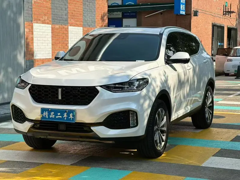 Wey VV6, 2020