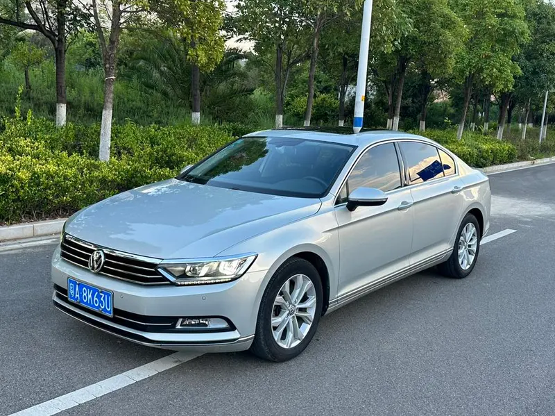 Volkswagen Magotan, 2019