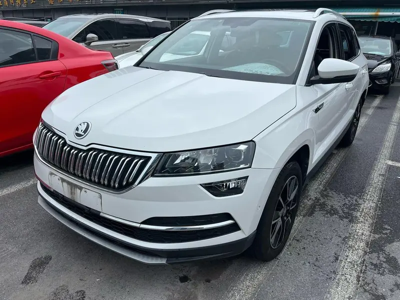 Skoda Karoq, 2019