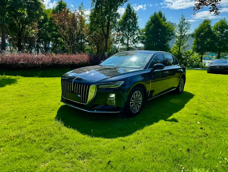 Hongqi H5, 2024