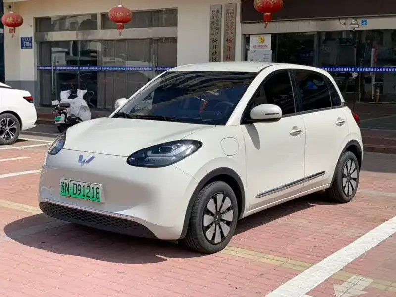 Wuling Bingo, 2025
