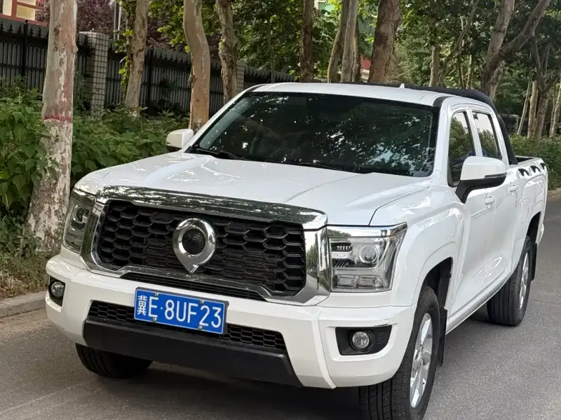 Great Wall King Kong Pao, 2022