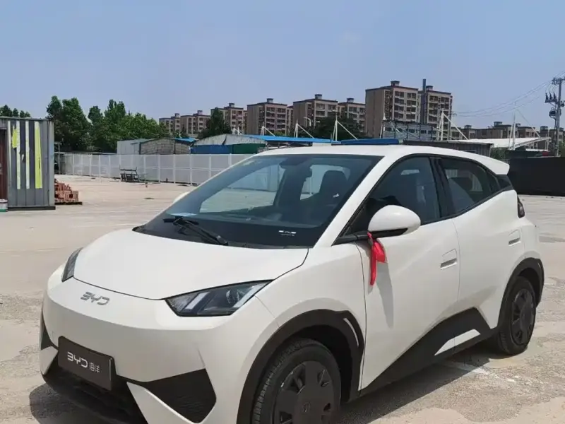 BYD Seagull, 2026