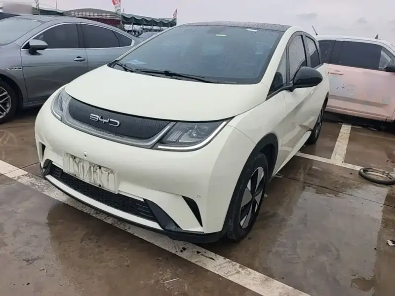 BYD Dolphin, 2023