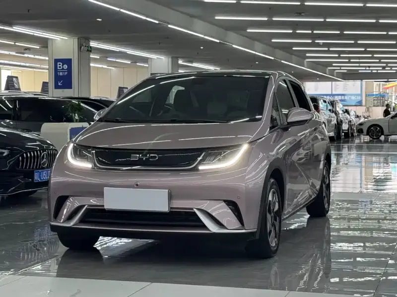BYD Dolphin, 2024