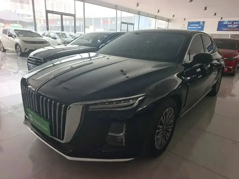 Hongqi H5, 2024