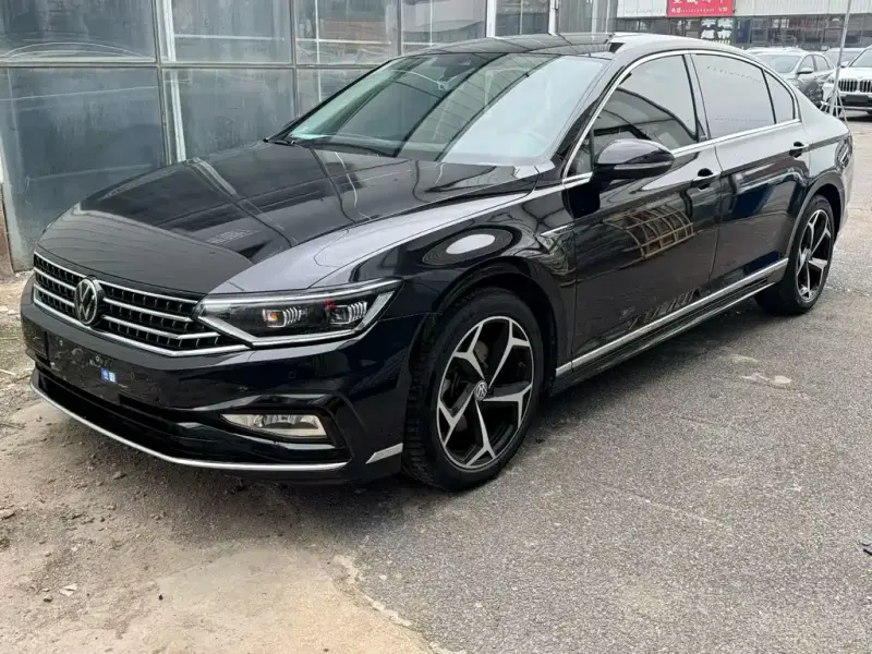 Volkswagen Magotan, 2024