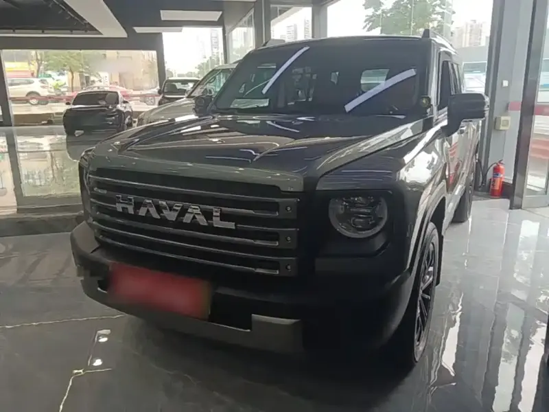 Haval Menglong New Energy, 2024