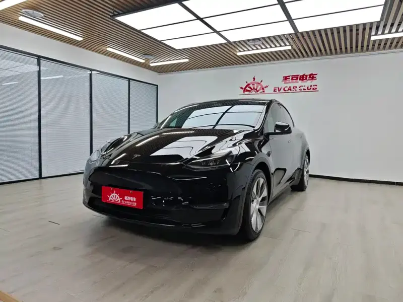 Tesla Model Y, 2021