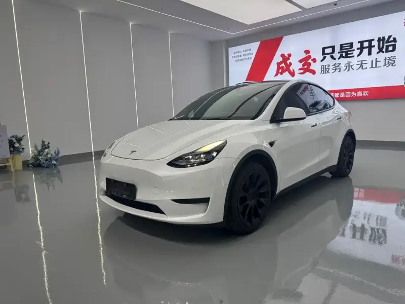 Tesla Model Y, 2022