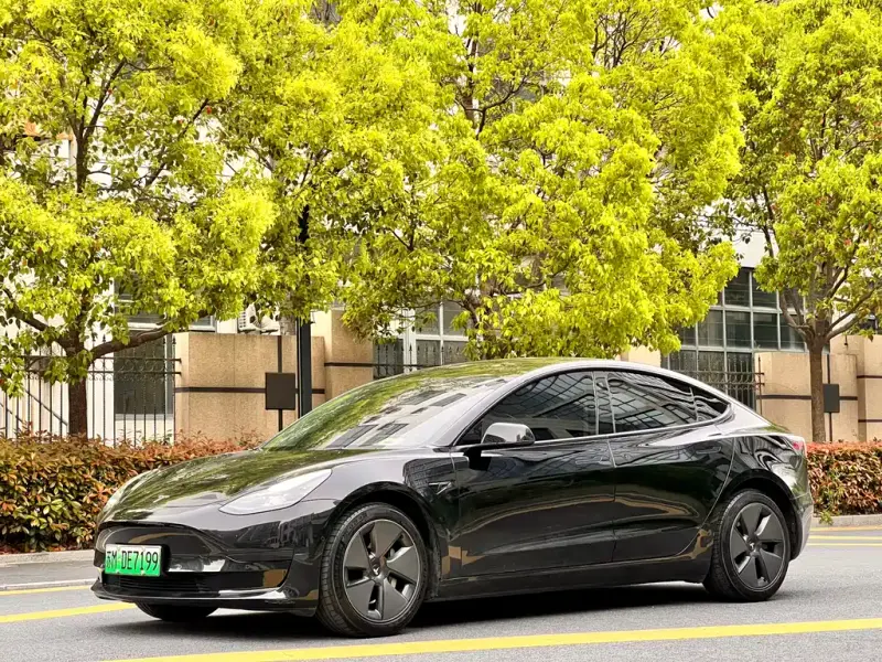 Tesla Model 3, 2023