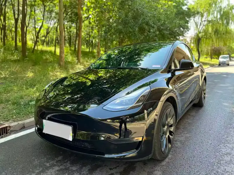Tesla Model Y, 2022