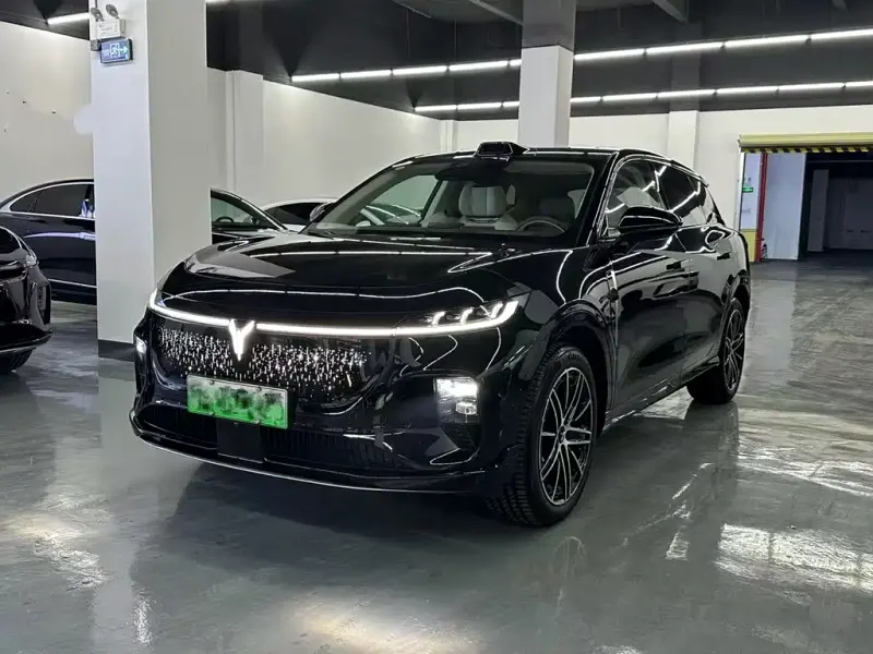 VOYAH Zhiyin, 2025