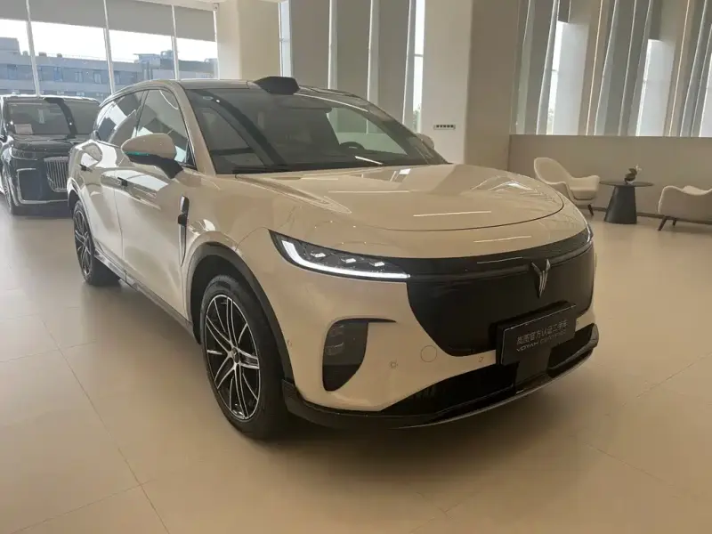 VOYAH Zhiyin, 2025