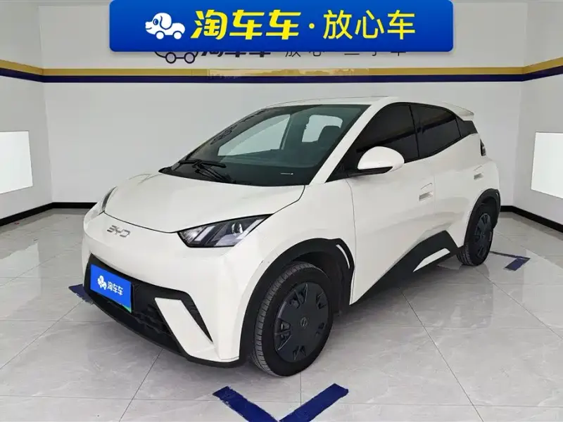 BYD Seagull, 2024