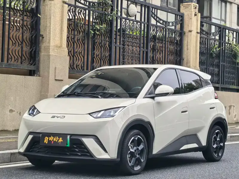 BYD Seagull, 2024