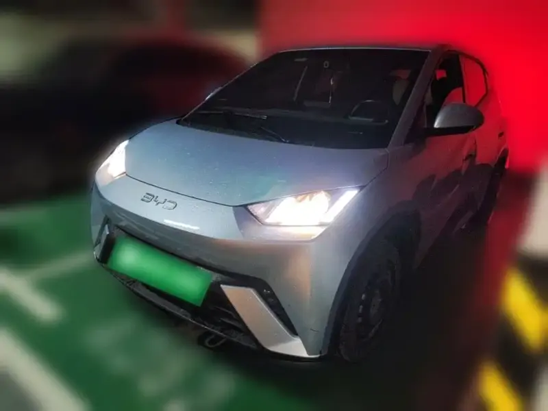 BYD Seagull, 2024