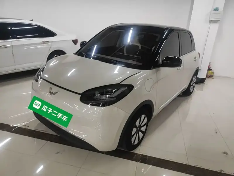 Wuling Bingo, 2024